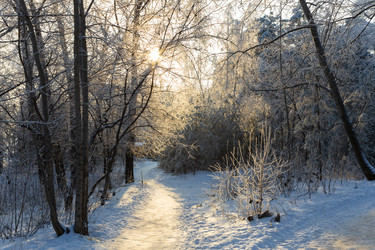 Similar image 21688439