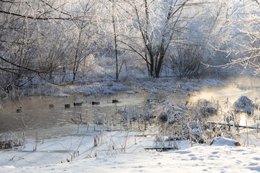 Similar image 21688440