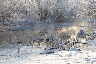 Similar image 21688441