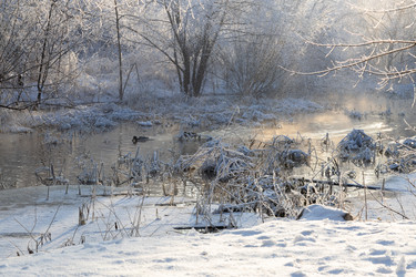 Similar image 21688442