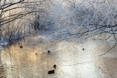 Similar image 21688443