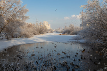 Similar image 21688444