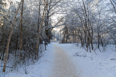 Similar image 21688445