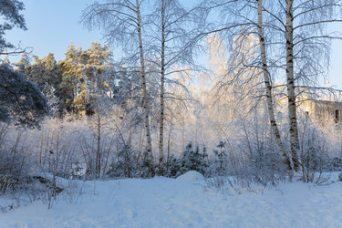 Similar image 21688446