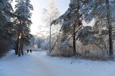 Similar image 21688447