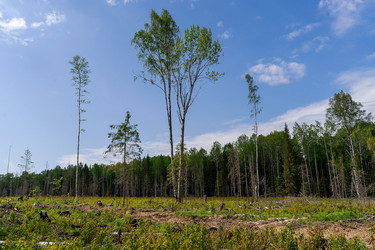 Similar image 21688454