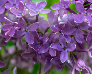 Similar image 21688456