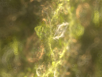 Similar image 21694997