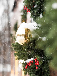 Similar image 21689022