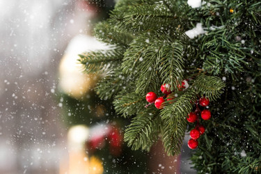 Similar image 21689023