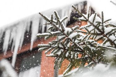 Similar image 21689033