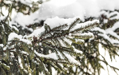 Similar image 21689035