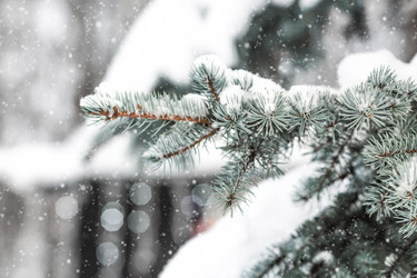 Similar image 21689036