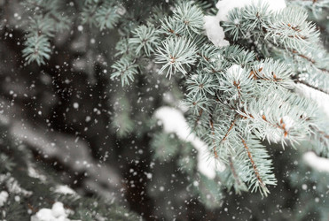 Similar image 21689037