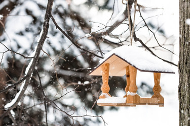 Similar image 21689041