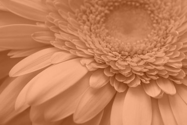 Similar image 21697305