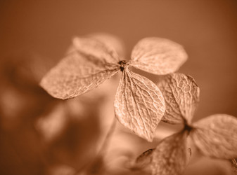 Similar image 21697308