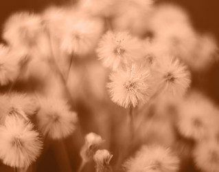 Similar image 21697311