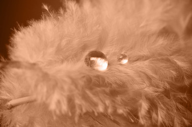 Similar image 21697312