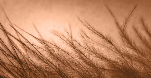 Similar image 21697314