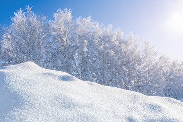 Similar image 21691311