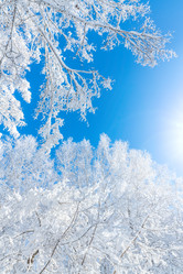 Similar image 21691312