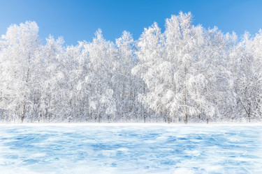 Similar image 21691315