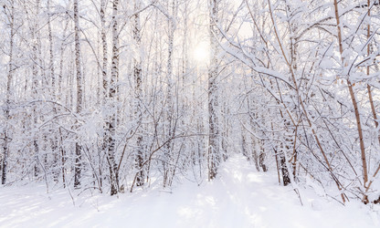 Similar image 21691316