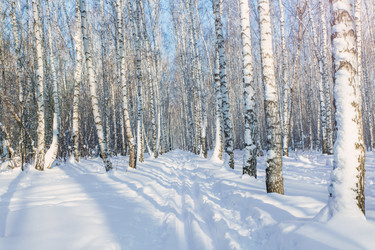 Similar image 21691323