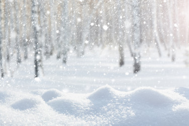 Similar image 21691333