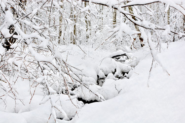 Similar image 21691338