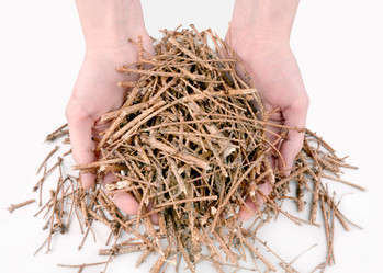 Similar image 21691443