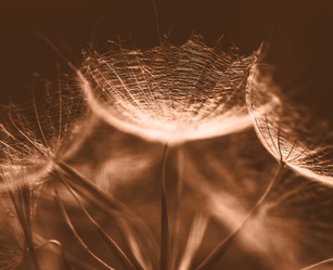 Similar image 21697318