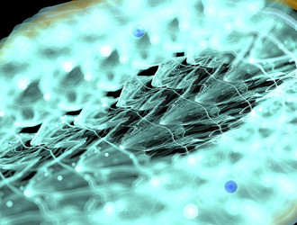 Similar image 21695600