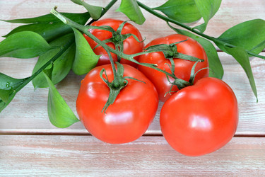 Similar image 21691352