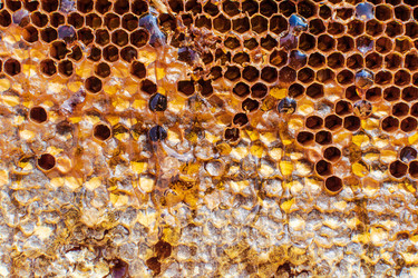 Similar image 21691356