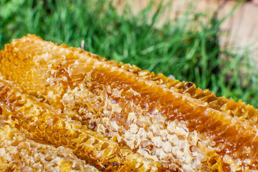 Similar image 21691358