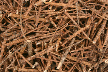 Similar image 21691364