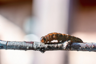 Similar image 21691368