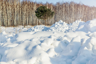 Similar image 21691373