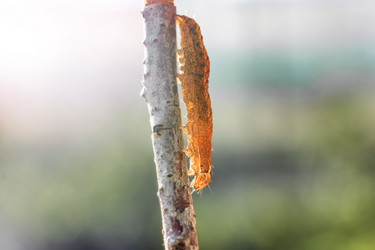 Similar image 21691374