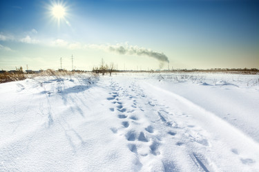 Similar image 21691375