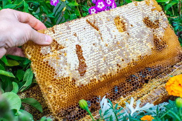 Similar image 21691376