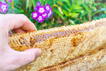 Similar image 21691378