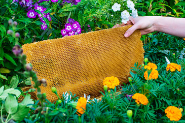 Similar image 21691381