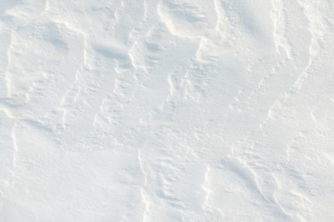 Similar image 21691382