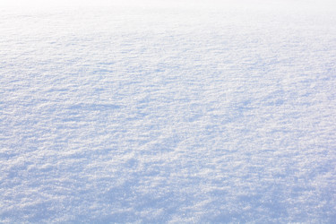 Similar image 21691384