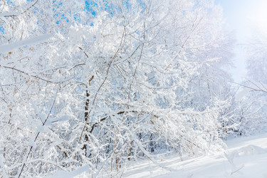 Similar image 21691387