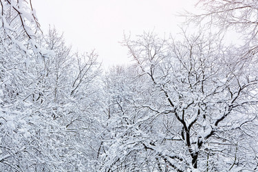 Similar image 21691388