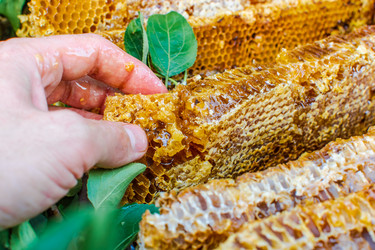 Similar image 21691394